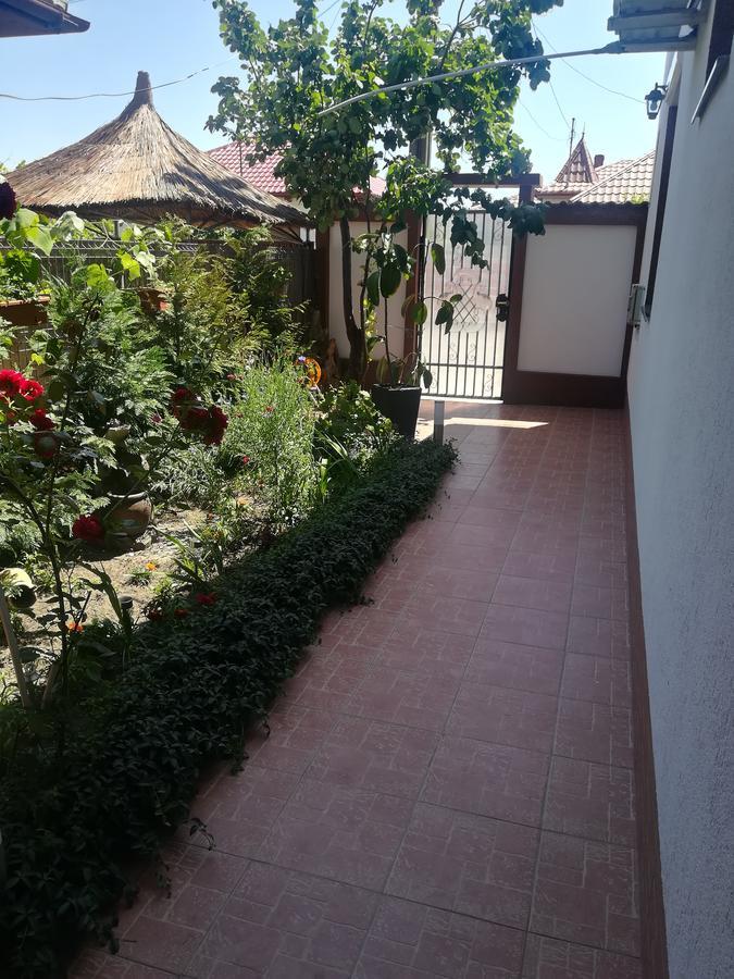 Casa Diana Hotel Sulina Bagian luar foto